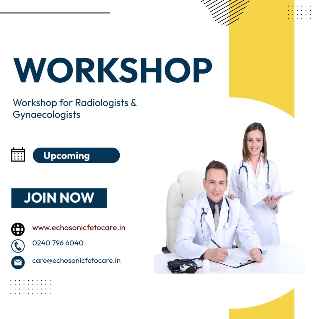 Fetal Biometric Evaluation Workshop